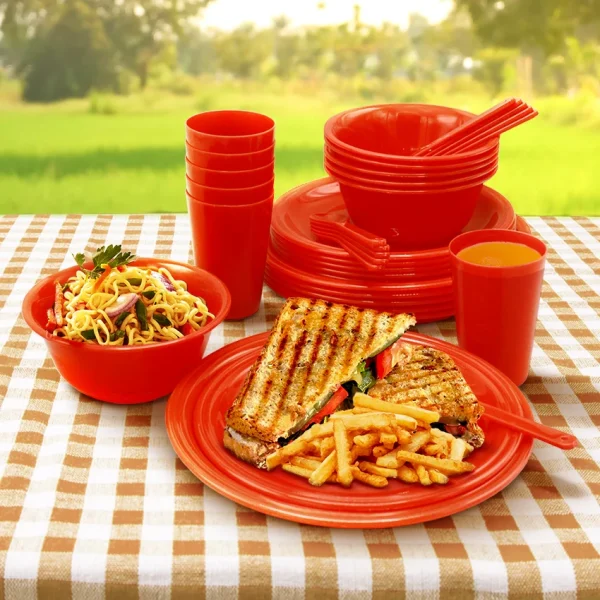 Saga Picnic Set 37 Pcs Set